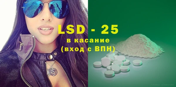 ECSTASY Богданович