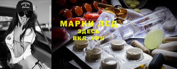 ECSTASY Богданович